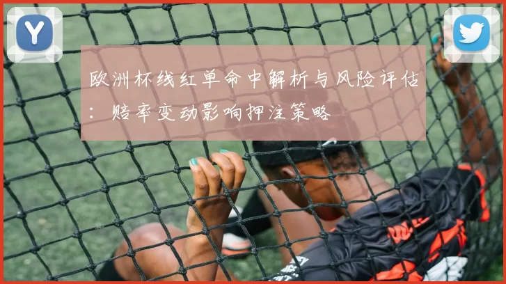 欧洲杯线红单命中解析与风险评估：赔率变动影响押注策略
