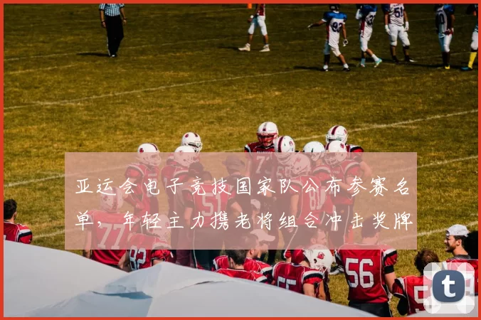 亚运会电子竞技国家队公布参赛名单，年轻主力携老将组合冲击奖牌