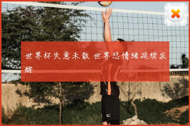 世界杯失意未散 世界悲情绪延续发酵