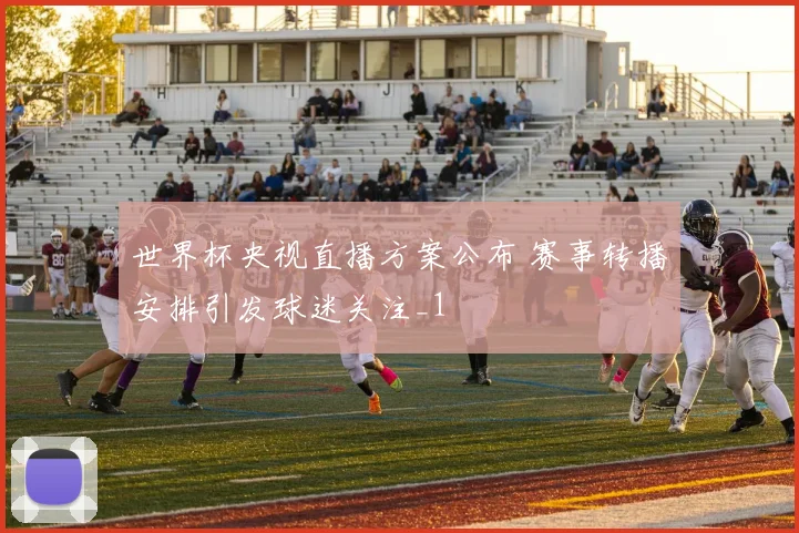 世界杯央视直播方案公布 赛事转播安排引发球迷关注_1