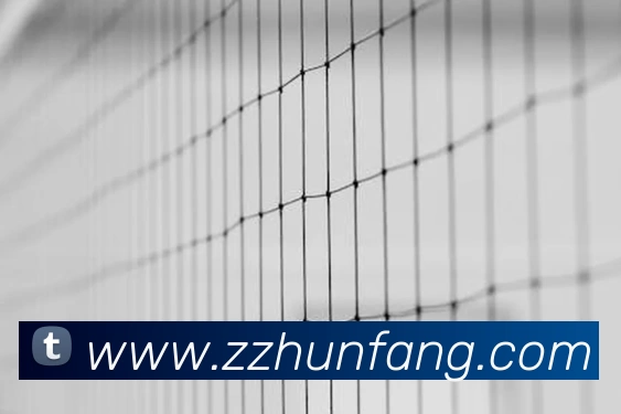 米兰体育APP官网下载服务体系